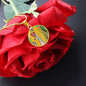 Angel Full of Heart, Circle Luxury Necklace